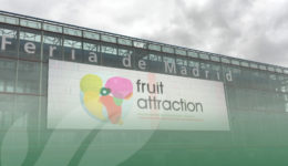 OP Isola Fiera Fruit Attraction