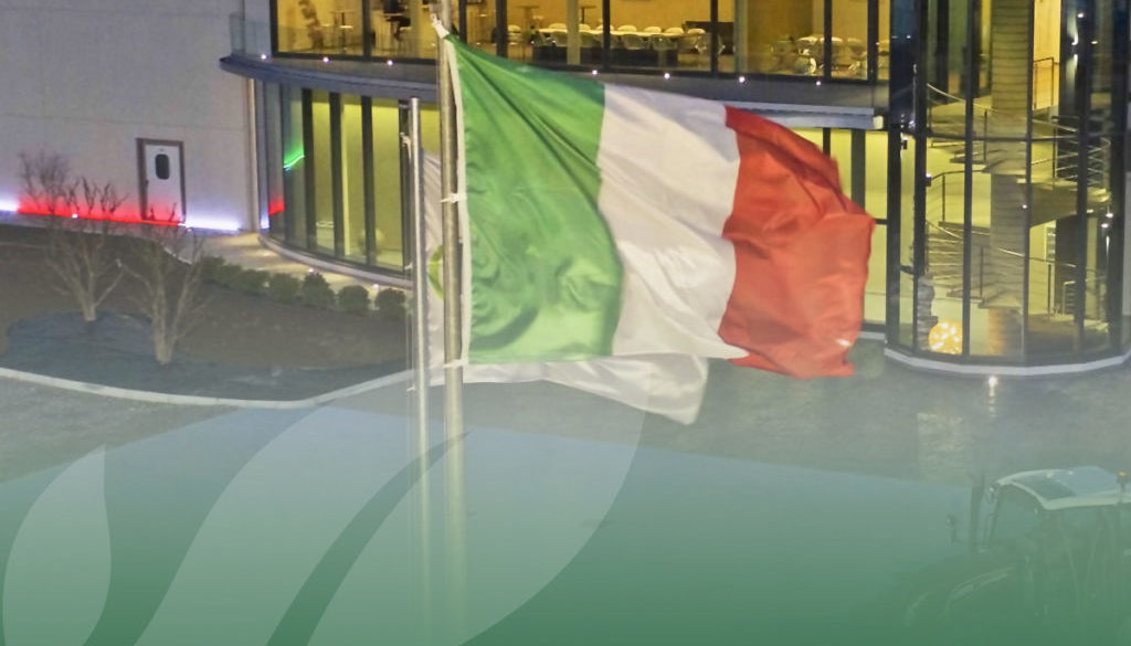 OP Isola verde_baby leaf_insalatine italiane BLOG