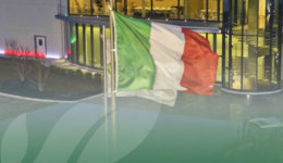 OP Isola verde_baby leaf_insalatine italiane BLOG