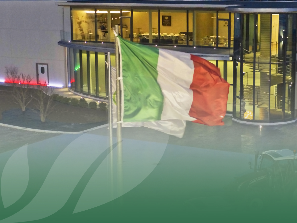 Baby Leaf: insalatine tutte italiane