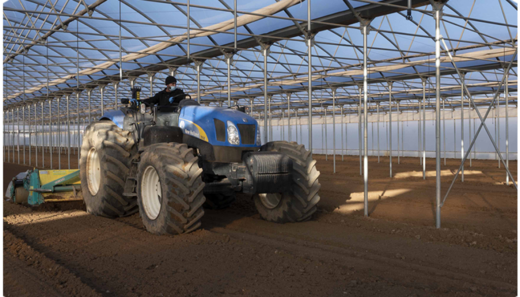 op isola verde_01 preparazione