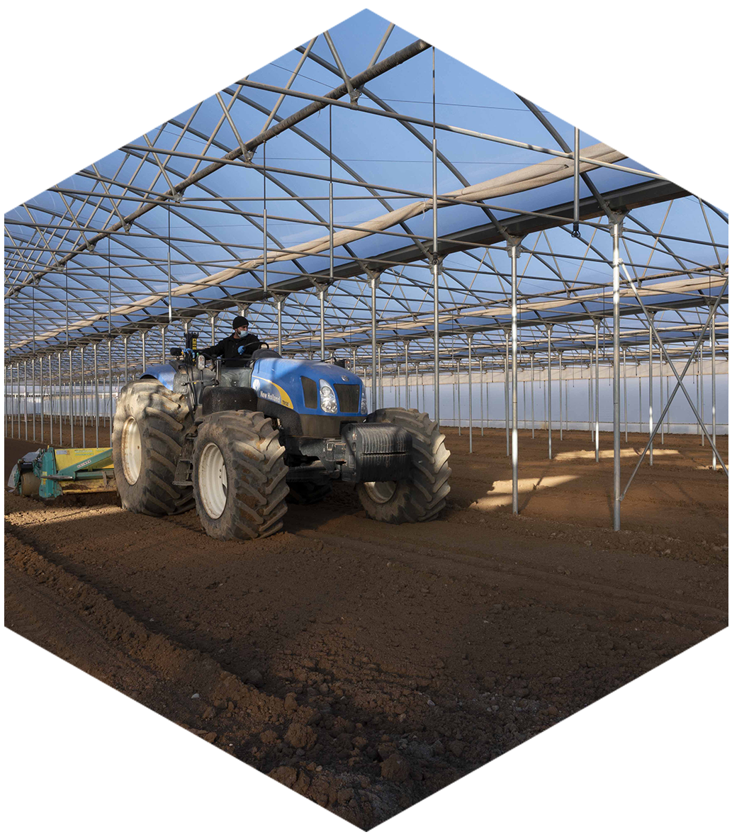 Preparazione del terreno