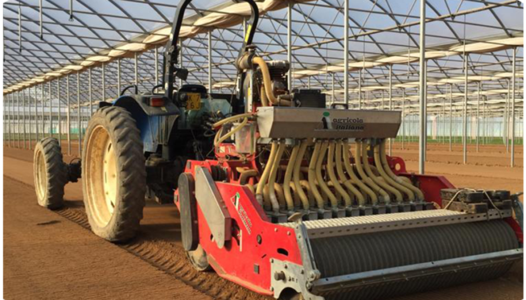 op isola verde_02 semina