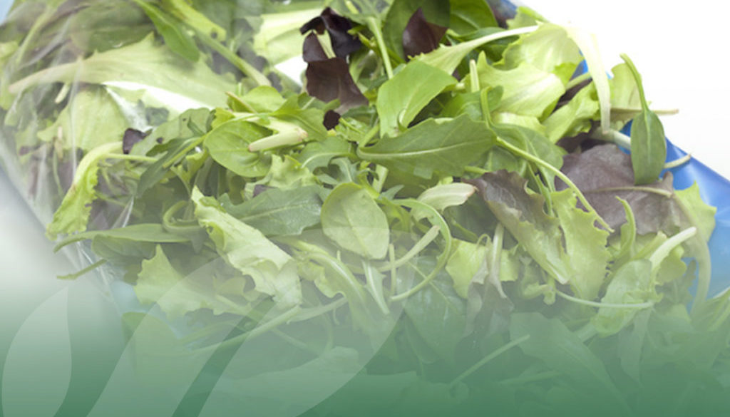 OP Isola verde Insalatine per la GDO 3 servizi a cui non puoi rinunciare