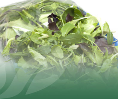 OP Isola verde Insalatine per la GDO 3 servizi a cui non puoi rinunciare