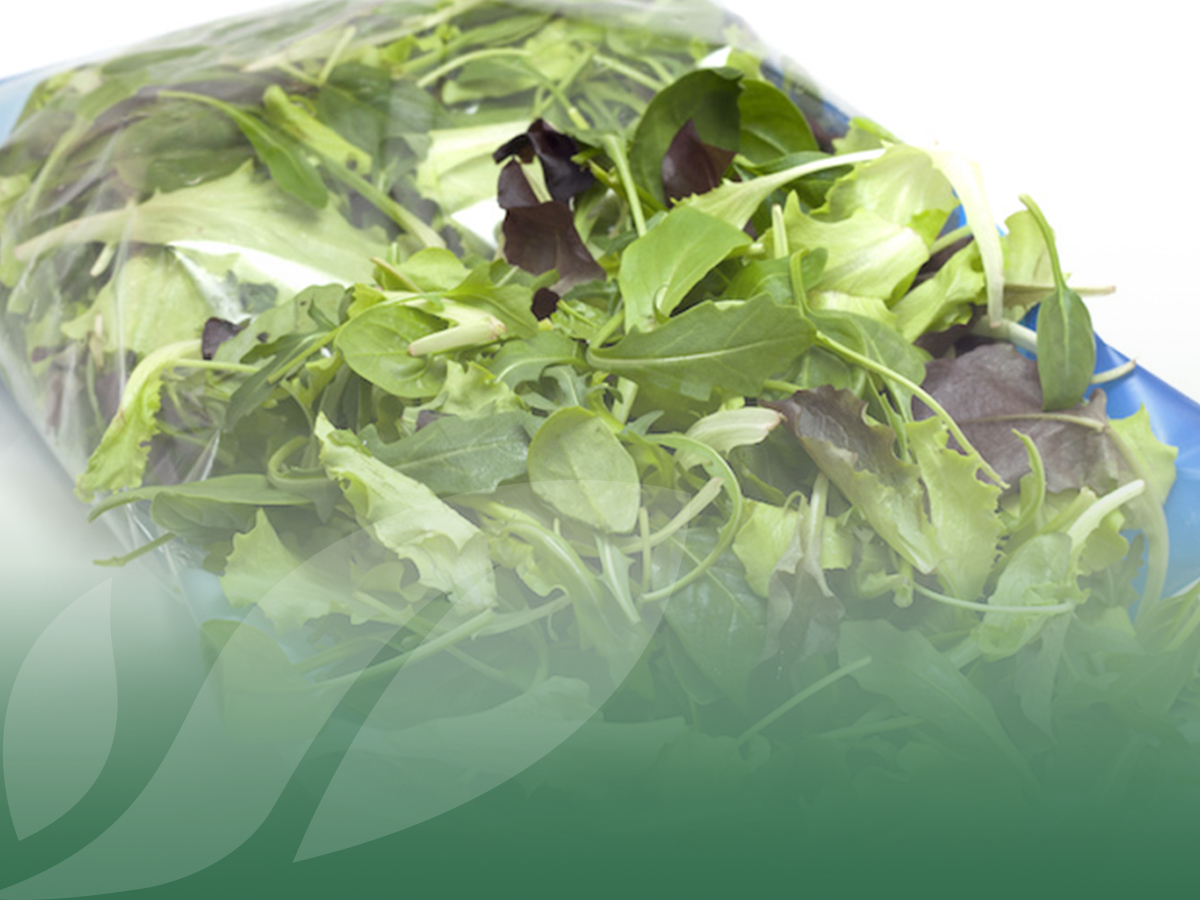 Insalatine per la GDO: 3 servizi a cui non puoi rinunciare