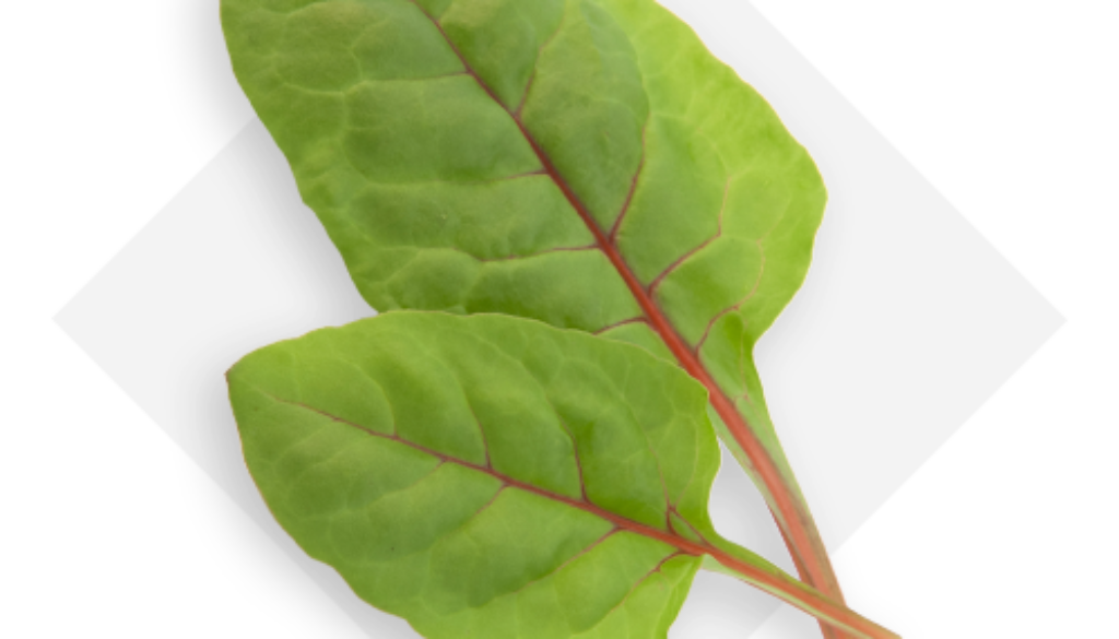 OP-Isola-verde_red-chard-en